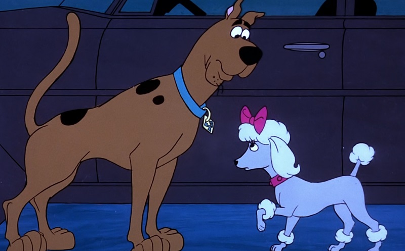 Scooby with Poodle Puppet