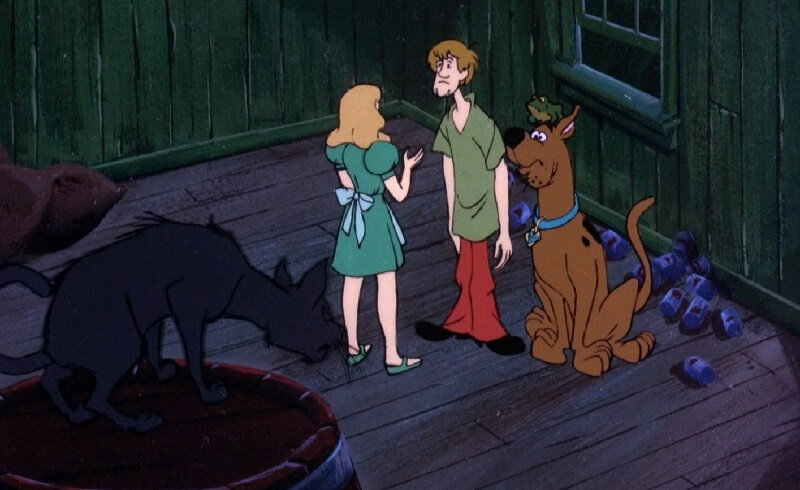 the black cat watches!