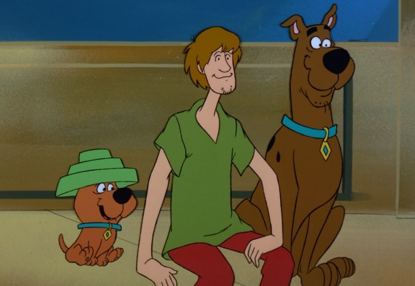Scrappy wearing Devo hat