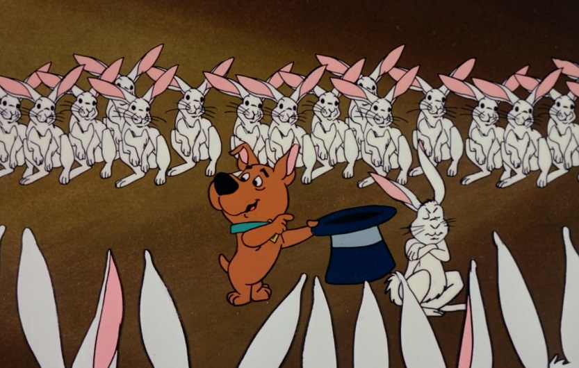 rabbits
