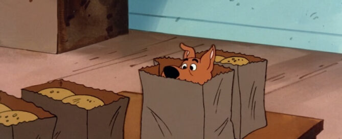 Scrappy in a takeout bag