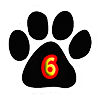 6 paws