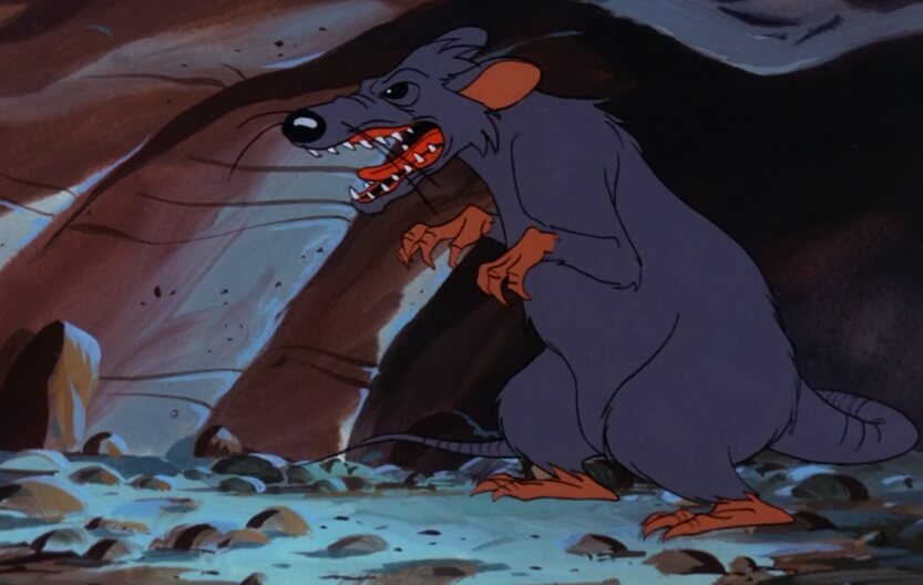 Giant Rat