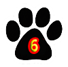 6 paws
