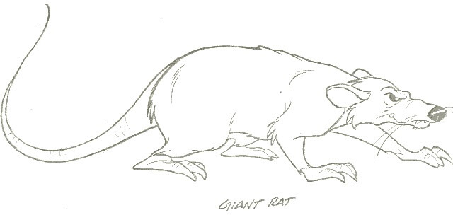 Giant Rat