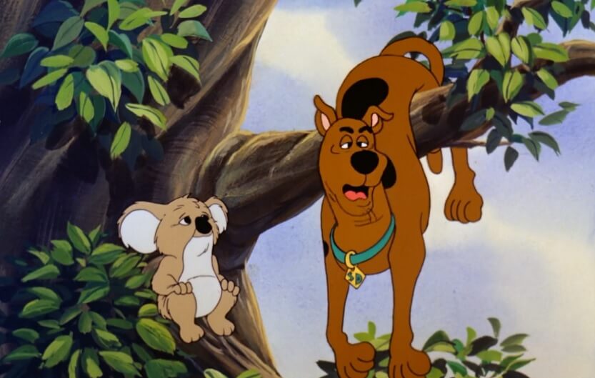 Scooby and Koala bear