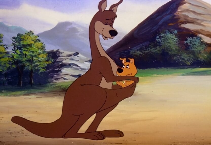 Scrappy and a Kangaroo