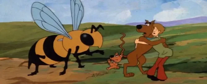 Killer Bees