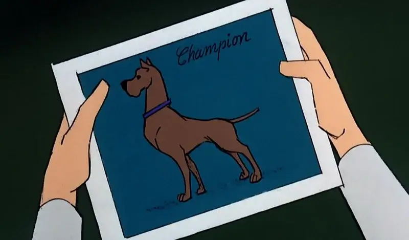 Champion the Great Dane