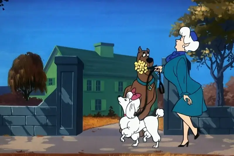 Princess the Poodle